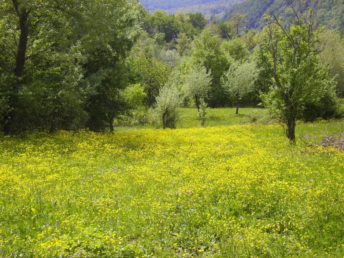 Montelungo Superiore B&B Podere Bramapane מראה חיצוני תמונה